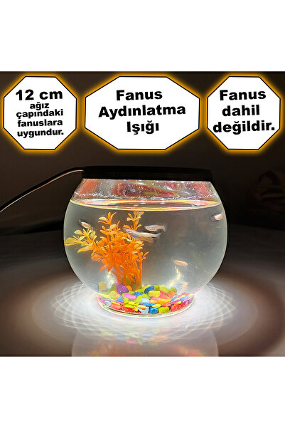 BİRRDESİGN Fanus Akvaryum Aydınlatma Işığı (12cm ağız çapı) balık, akvaryum, ...