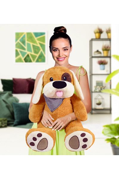 Princess Bear Charismatic Pirate Dog (100% Native)