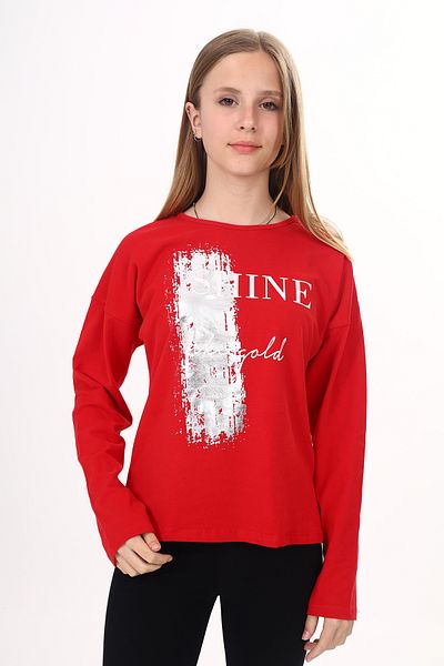 Toontoy Girl's Foil Printed Shine Sweatshirt