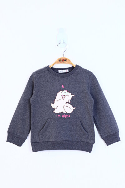 Toontoy Lamb Patterned Girls' Sweatshirt