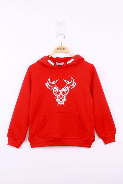 Toontoy Boy - Bull Printed Sweatshirt