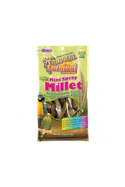 BROWNS Tropical Carnival Mini Spray Millet Birds Treat - 113 g