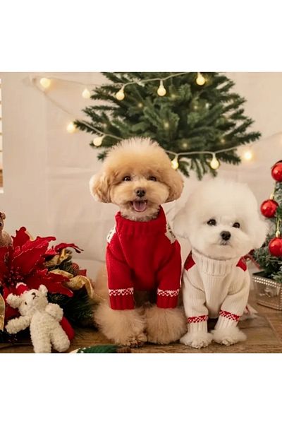 Proxy Paws Knitted White Patterned Sweater for Medium Dogs