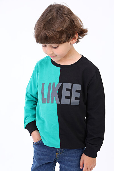 Toontoy Boy's Two Color Printed Sweatshirt