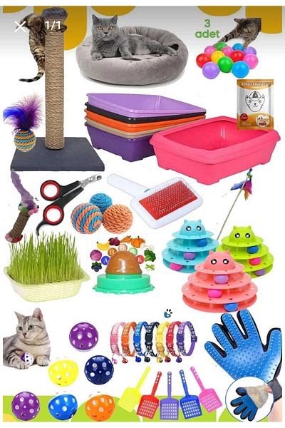 ENES 20 Pieces of Cat Starter Kit