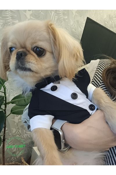 Gobo Goboticaret Cat and Dog Suit Black Bow Tie Tuxedo Outfit Groom Suit