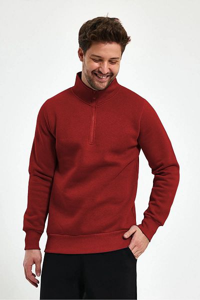 BayBayan Men's Stand Collar Model Half Zipper Pullover Sweatshirt