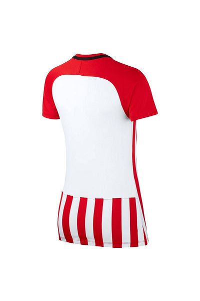 Nike Striped Division Iii Women's V-Neck Jersey