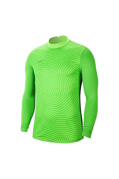 Nike Gardien Iii Men's Green Stand Collar Goalkeeper Jersey