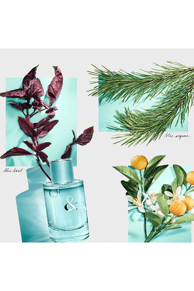 Tiffany & Co Love For Her for Women - Eau de Parfum 90ml