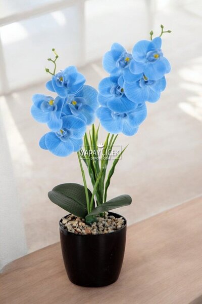 Yapay Çiçek Deposu Διακοσμητικό Σετ 2 Μίνι Τεχνητές Ορχιδέες Τανζιμό Μπλε 40 εκ.