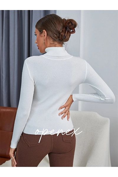 OPENEX Women's Seasonal Ribbed Full-Top Knitwear Sweater
