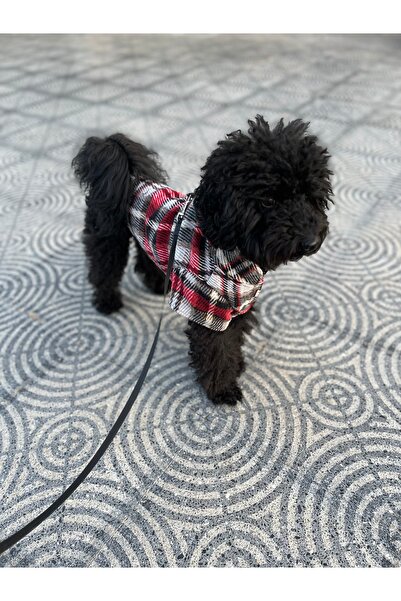 LEO Kırmızı Oduncu Köpek Gömleği