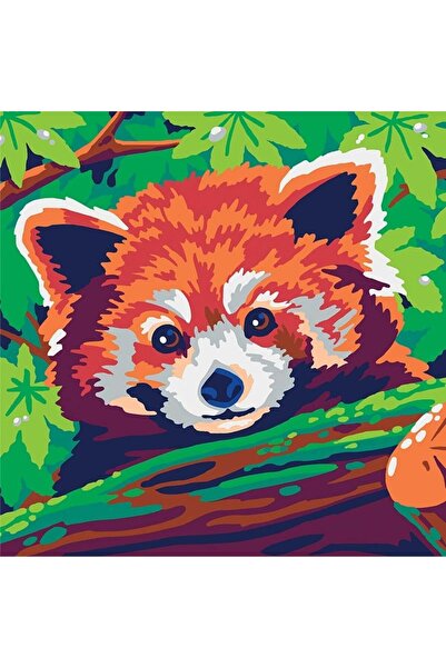 Sentosphere Creative paint by numbers kit - Colorizzy Red Panda and Shiba