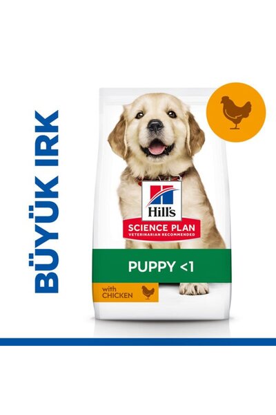 Hill's Hills Puppy Large Breed Tavuklu Büyük Irk Yavru Köpek Maması 2.5 Kg