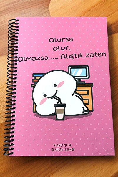 Arnas Toys Konuşan Ajanda 17x24 Olursa Olur Olmazsa Alıştık Sticker'lı Tarihs...