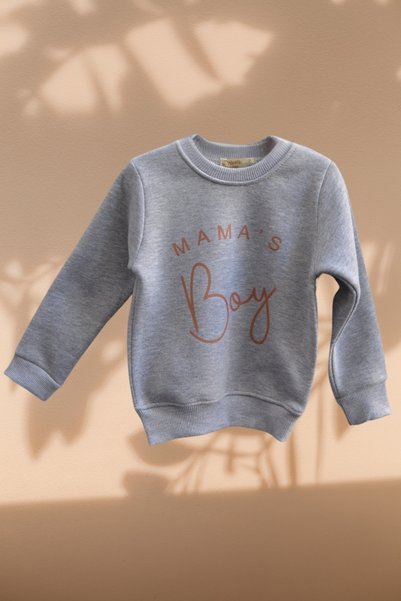 Dıgıdık 3 Thread Thick Boy's Sweat (3-7 Years)