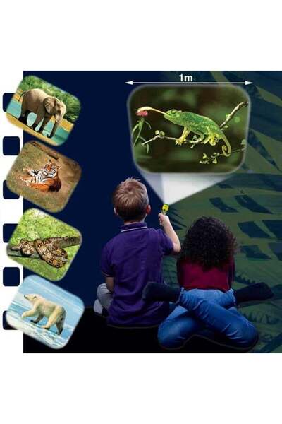 Brainstorm Flashlight projector - Wild animals