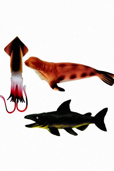 OMZ Ocean Animals Girl's Educational Toy with Bag Boy's Toys