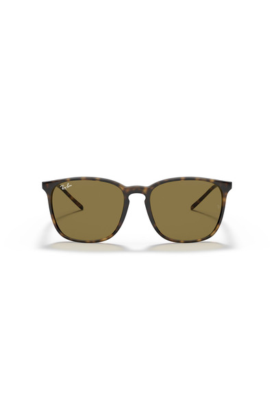 Ray-Ban 0RB 4387 710/73 56