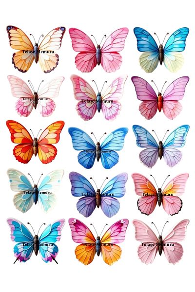 telaşe memuru Model 16 - Edible Butterfly Cake Decoration and Paper