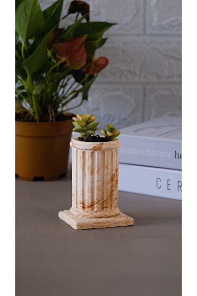 Home Antik Dekoratif Saksı Kaktüs Sukulent Çiçek Saksısı