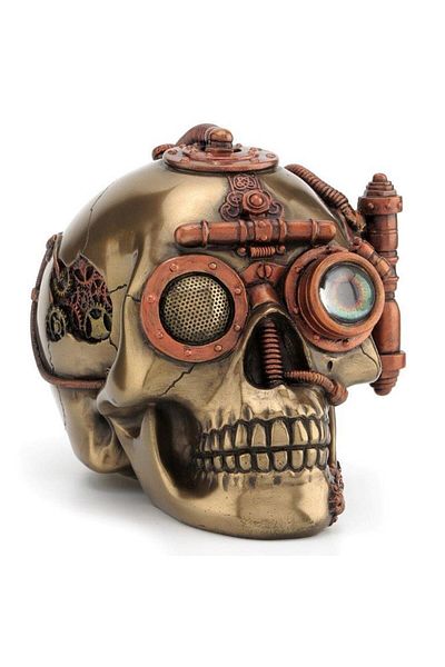 Wise Skull Box