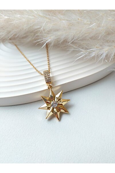 Alexis Carrel قلادة من حجر الزركون بولار ستار ستيل