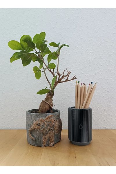 3D Brothers Office Supply Holder with Secret Number System