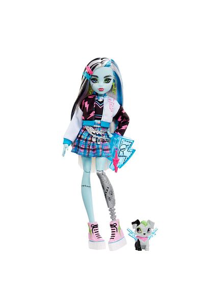 MONSTER HIGH FRANKIE STEIN DOLL WITH ANIMAL AND ACCESSORIES