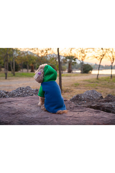Buddy Store Kedi Ve Köpek Kıyafeti Elbisesi kıyafetleri / Sweatshirt Kapşonlu...
