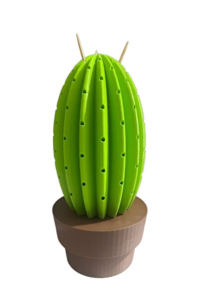 Alp in Alpes Kaktüs Kürdanlık