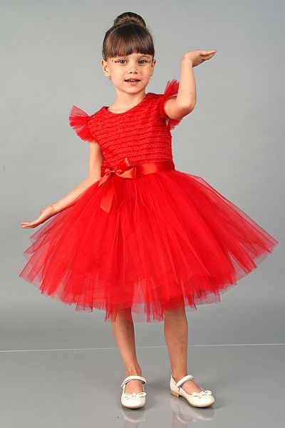 Delfini kids Tulle Party and Birthday Evening Dress Dress Costume