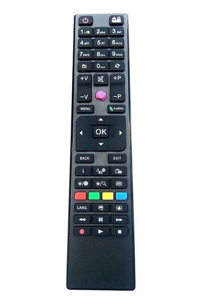 erorex Vestel Seg Regal Purple Button Long Mold LCD LED TV Remote Control