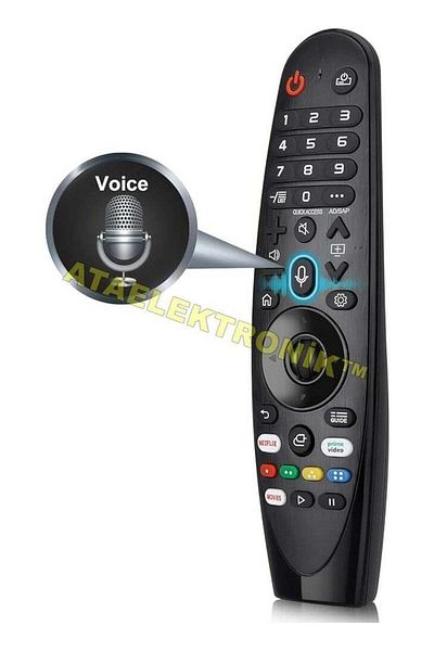 erorex Ata Electronics LG Compatible Magic Voice Command - Air Mouse Remote Control
