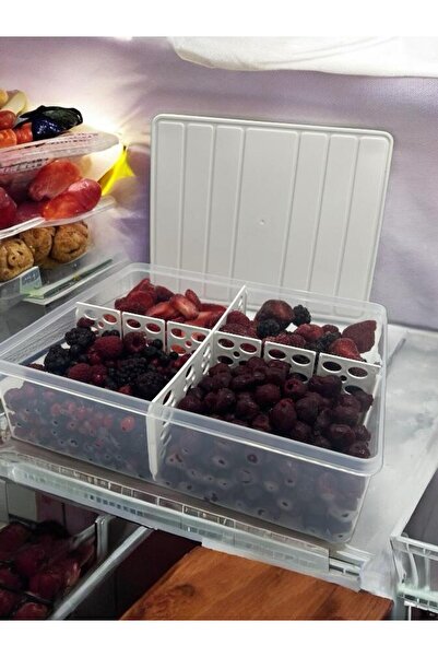 SELKA HOME 2 Pieces 4 Lt. Nora Compartmentalized Organizer Refrigerator Freezer Organizer Storage Container