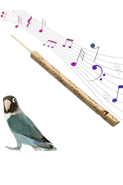 Genel Markalar Bambu Kuş ve Ördek Dili Düdüğü, Eğlenceli ve Doğal Ses Deneyimi