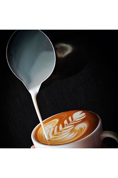 Lacor Stainless steel milk frother, 500 ml