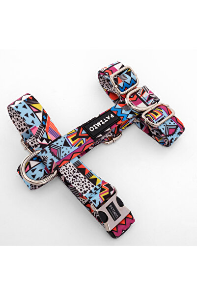 PATİMİO Astro Köpek Göğüs, Boyun Ve Gezdirme Tasma Seti