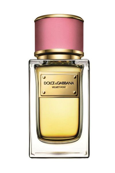 Dolce&Gabbana Velvet Rose Edp 50ml for Women 737052785172