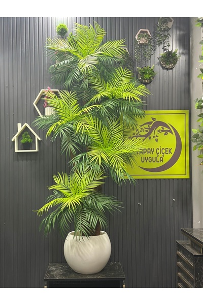 İremÇiçekçilik Yapay Çiçek Uygula Yapay Ağaç Salon Çiçeği 200 Cm Areka