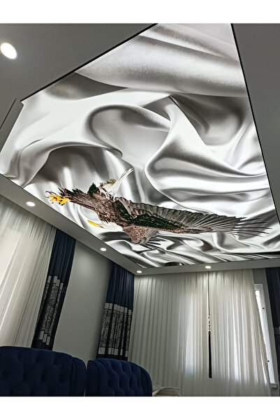 poster marketi Kara Kartal Gergi Tavan | Lüks ve Klasik Tasarım | LED Uyumlu