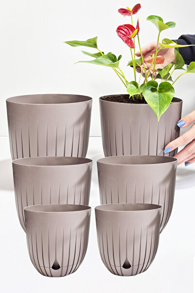 ATA HOME 6 Adet Dekoratif Saksı Seti Iç Ve Dış Mekan Için Çiçek Saksısı Masa ...