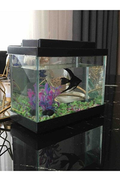 dayıpet Mini Akvaryum 20x20x15 Cm (siyah )