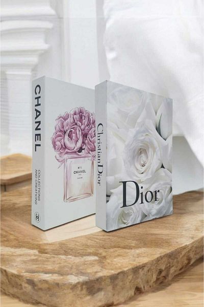 BayCazip 2-Piece Decorative Book Look Box Set