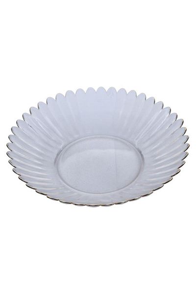 ALSAIF Glass Plate 5 X 24.5 Cm Transparent