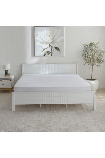 Home Box Opulent Luxe Solid Cotton Olympic Queen Fitted Sheet 160x200+40 cm