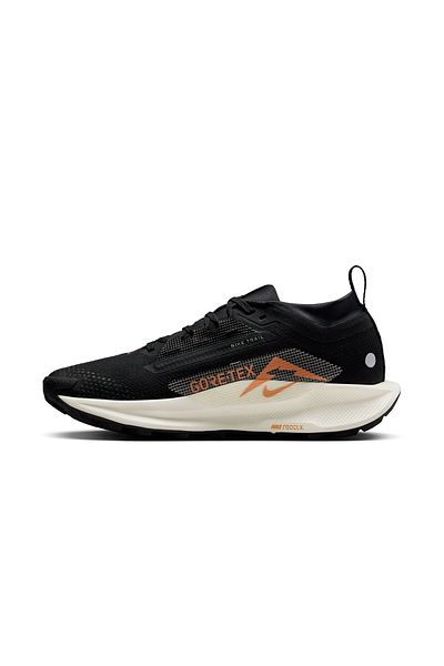 Nike W Pegasus Trail 5 Gtxfq0912-005