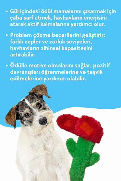 Havhav Küçük/Orta Irk İçin Köpek Oyuncağı Peluş Gül Mama Saklamalı Hışırtı Sesli Köpek Oyuncağı