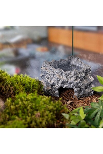 Exo Terra Eck Wetrock Medium